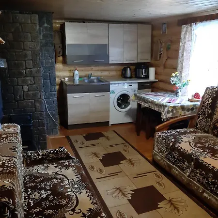 дерев'яний будинок з банею Oriv