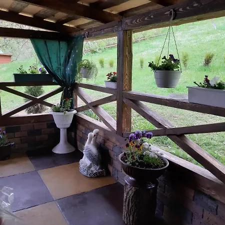 дерев'яний будинок з банею