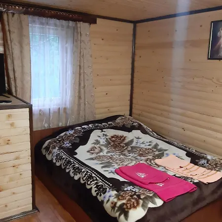 дерев'яний будинок з банею *