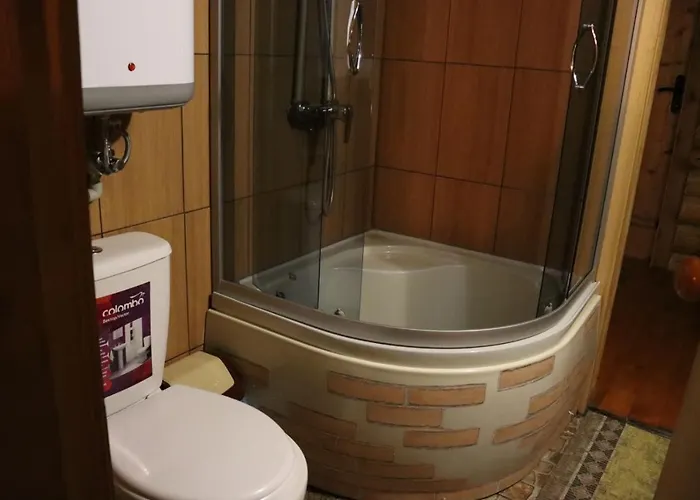 дерев'яний будинок з банею Apartment