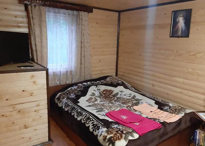 дерев'яний будинок з банею *