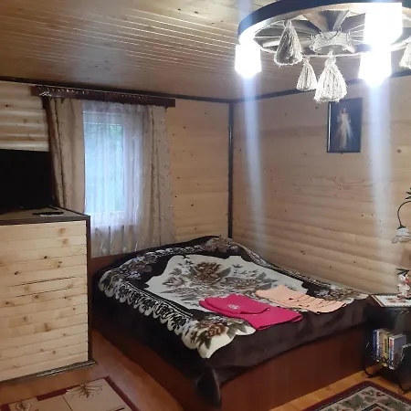 дерев'яний будинок з банею 公寓